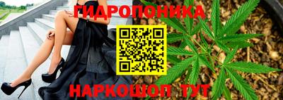 тгк Будённовск