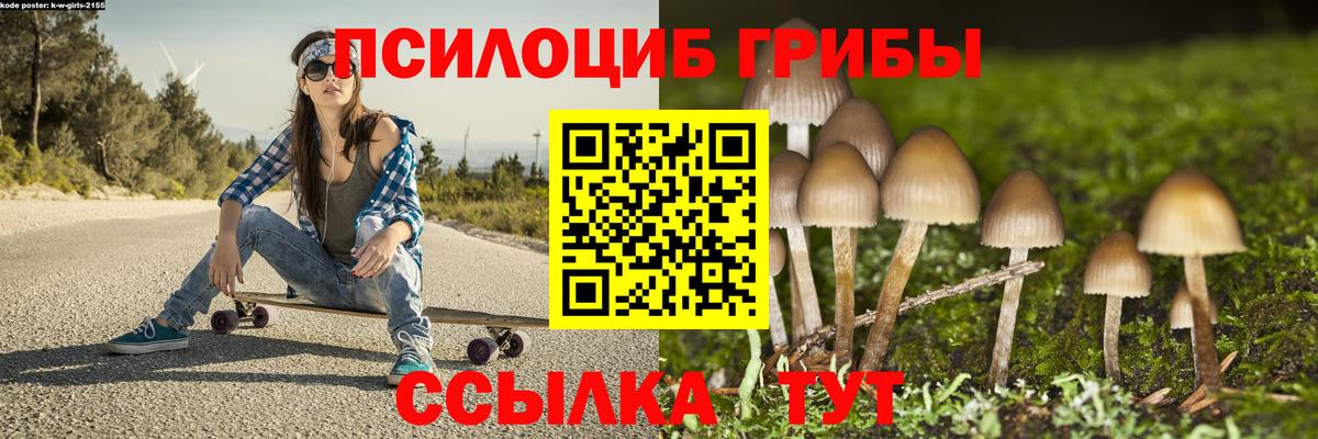 Галлюциногенные грибы прущие грибы Будённовск